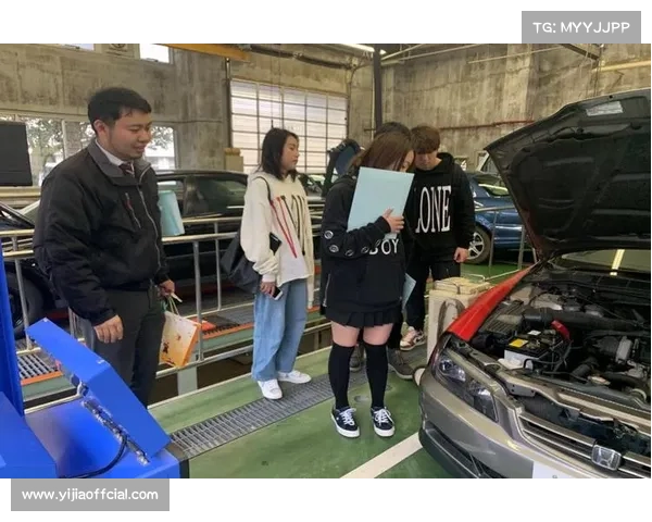 WBSC排名揭示全球垒球职业化生态，美国日本凭借职业体系领先